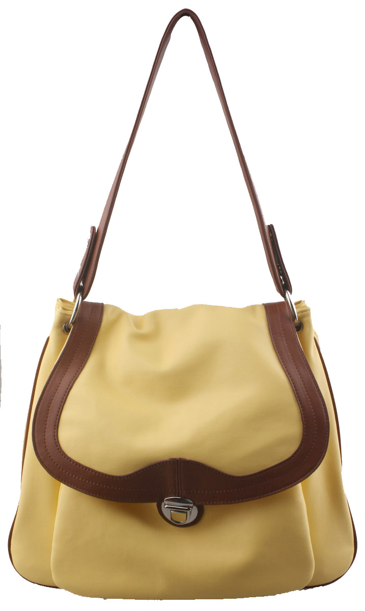 Fashion Ladies' Handbag (AC005-03)