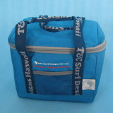 Cooler (Ice) Bag (AD-8110)