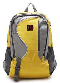 Travel Backpack (DW-6040)